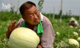 最新吃瓜爆料河北新闻,揭秘幕后真相，带你走进事件核心